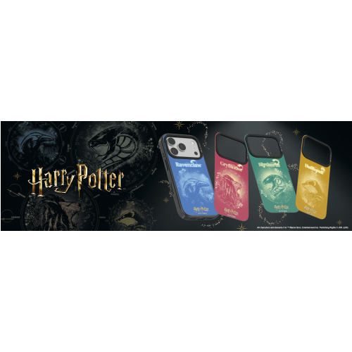 Harry Potter Series