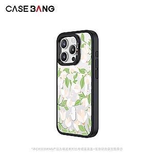 Wizard of Oz Imagisnap