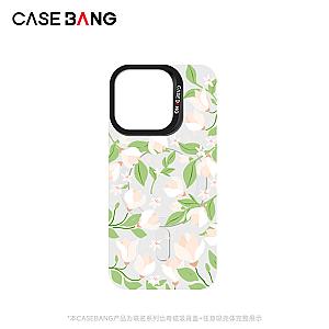 Wizard of Oz Imagisnap